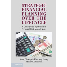 Strategic Financial Planning Over the Lifecycle A Conceptual Approach