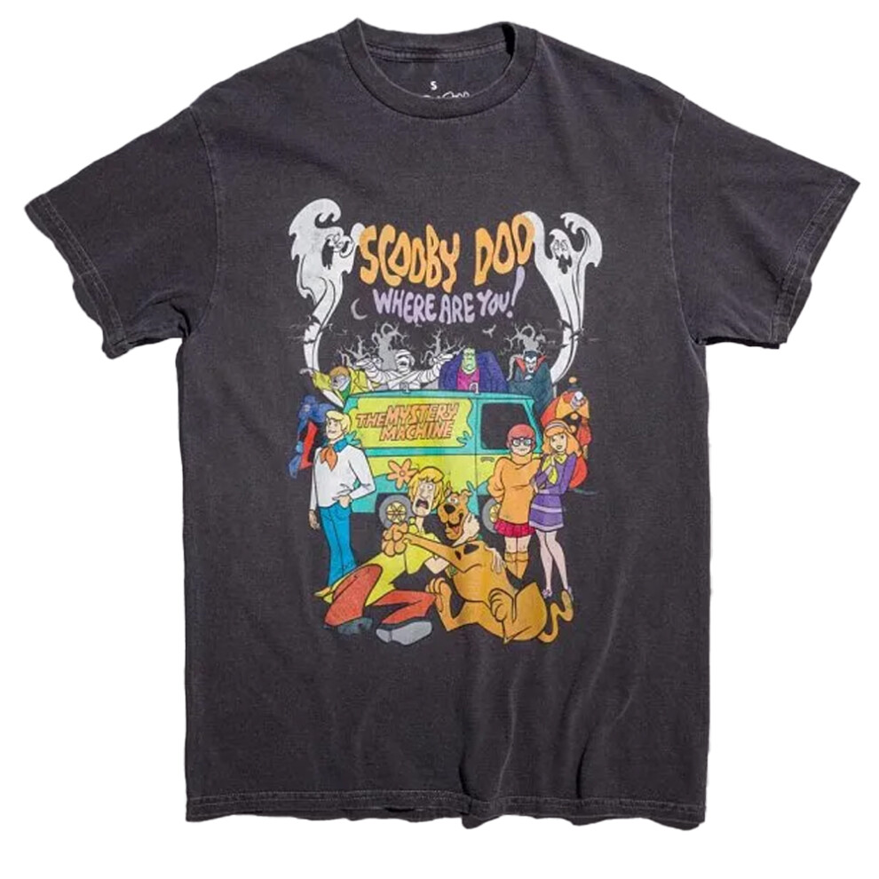 Scooby Doo (L, Charcoal) Unisex Adult Where Are You Vintage Wash T-Shirt