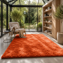 (Orange, 120 x 170cm (3 ft 11" x 5 ft 7")) Thick Shaggy Non Slip Rugs Living Room Area Rugs Hallway Runner Round Rugs & Door Mats