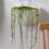 Wandhalterung Blumentopf PP 26 cm 21