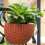 Wandhalterung Blumentopf PP 26 cm 6