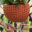 Wandhalterung Blumentopf PP 26 cm 15