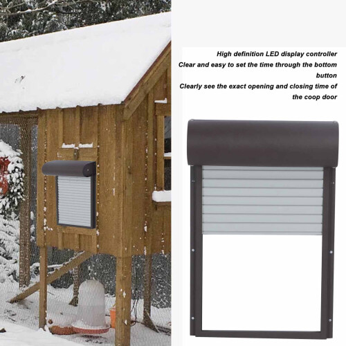 Automatik Hühnerklappe Solar Metall 2