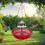 Aufhängbarer Vogelbad-Brunnen Rot 10