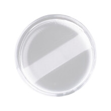 Herbruikbare siliconen make-up-puff-applicator-Circulaire