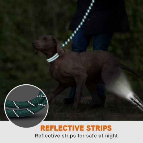 5FT Strong Dog Leash with Comfortable Handle for Medium Dogs and Blue 2