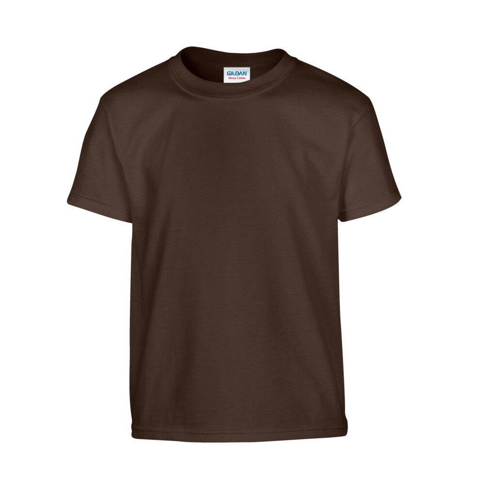 Gildan (Xl, Dark Chocolate) Childrens/Kids Heavy Cotton T-Shirt