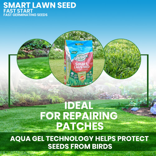 Westland Westland Gro Sure Smart Lawn Seed Fast Start 80m² 1