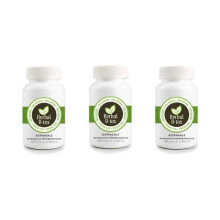 Astragalus-kapselit (Astragalus membranaceus), 300 x 500 mg (Kolmen pakkauksen setti)
