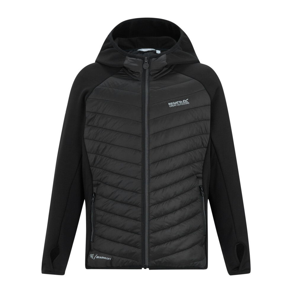 Regatta (6-7 Years, Black/Seal Grey) Childrens/Kids Andreson Hybrid Padded Jacket