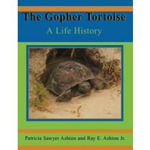 The Gopher Tortoise A Life Story by Ray E Ashton Paperback Book