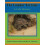 The Gopher Tortoise A Life Story by Ray E Ashton Paperback Book 1