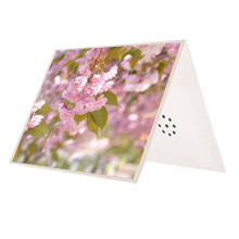 Talking Product Writeable Greeting Card Record 30s of Sound-1