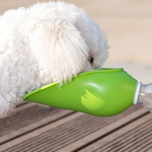 Tragbare Silikon-Wasserflasche für Hunde mit faltbarem-Grün 1