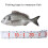 Fischmessgerät Angellineal Outdoor-Fischlineal-B eige 6