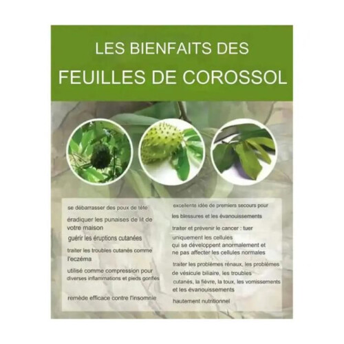 Pack de 3 x Tisane de Feuilles de Corossol / Graviola en Sachets de Thé – 30 jours -Complement Detoxinant 2