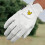 Lyle & Scott Cabretta Leather Golf Glove For Right Hand - M 4