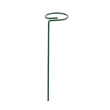Support de piquet pour plantes, roses, fleurs, légumes, tige-20