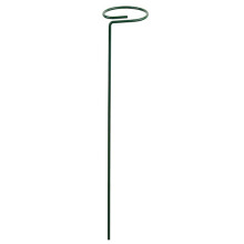 Piquet de plantes, anneaux de Support de Cage pour plantes,-30