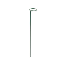Support de piquet pour plantes, roses, fleurs, légumes, tige-40
