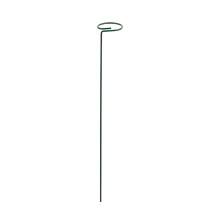 Support de piquet pour plantes, roses, fleurs, légumes,-45