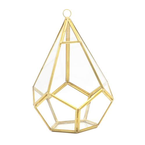 Modern Geometric Succulent Terrarium Large Clear Moss-Gold