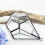 Modern Geometric Succulent Terrarium Large Clear Moss-Gold 9