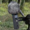 Couvercle-Cheveux courts noirs et blancs + housse de protection 7