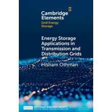Energy Storage Applications in Transmission and Distribution Grids by