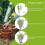 Support de piquet pour plantes, roses, fleurs, légumes,-45 4
