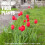 Support de piquet pour plantes, roses, fleurs, légumes,-45 6
