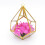 Fünfseitiges Rhombus-Glasregal, geometrisches-Gold 4