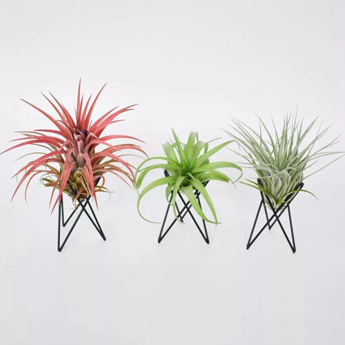 Blumentopfständer aus Metall, geometrisches Eisen,-Schwarz 2