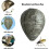 Fake Wasp Nest Decoys για το σπίτι και τον κήπο, Απωθητική παγίδα σφηκών και 3