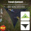 Aerial Quad Hammock Βελτιωμένη έκδοση Φορητή αιώρα εξωτερικού χώρου για 4 ά 4