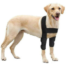 Hunde-Kniestützpolster für Hunde, atmungsaktiv, Schwarz, M, für Dysplasie, Arthrose, Ekzeme, Ellenbogen- und Schulterpf