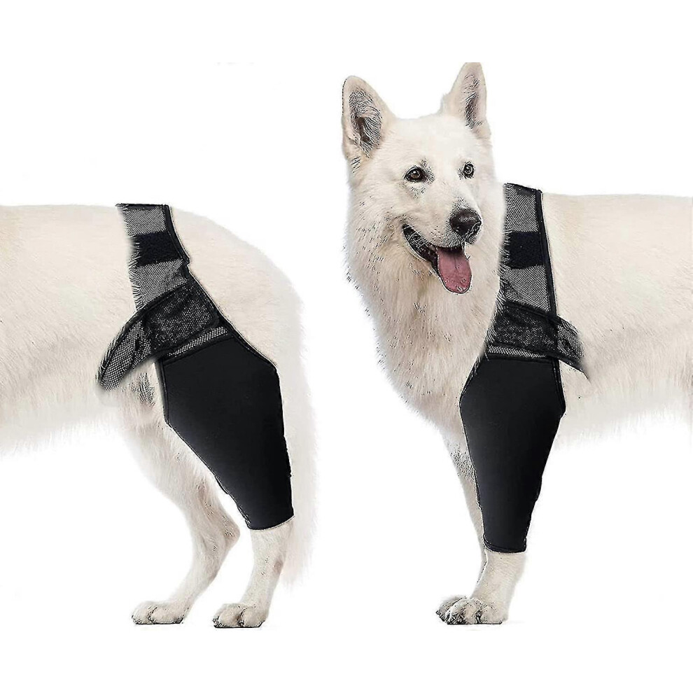 ((M)) Dog Elbow Brace M Size, Supports Joint Recovery and Relieves Discomfort from Arthritis and Dysplasia for Small to Medium Dogs