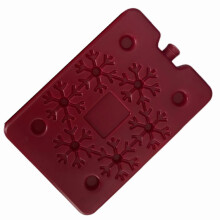 (Red) Reusable Leak-Proof Freezer Box for Lunch Bags, Coolers, Tote Bags, 200ml Capacity