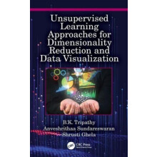 Unsupervised Learning Approaches for Dimensionality Reduction and Data