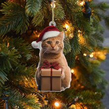 (orange cat) Acryl Weihnachtskatzen Schlüsselanhänger, 2D doppelseitig, 8 x 6 cm, 2 Stück, mehrfarbig, für Auto Tasche Weihnachtsbaum