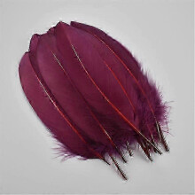 (fuchsia) Pióra gęsie do rękodzieła, 6-8 cali, 15-20 cm, barwione, kolorowe, twarde, 20 szt.