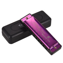 (purple) C Diatonic Harmonica with ABS Reeds Mirror Surface Design 10 Holes for Blues Folk Music