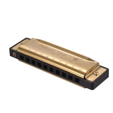 (gold) C Diatonic Harmonica with ABS Reeds Mirror Surface Design 10 Holes for Blues Folk Music