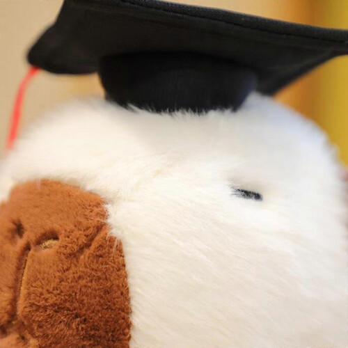 (White) Abschluss-Capybara-Plüschtier, 25 cm, mit Mütze und Urkunde 1