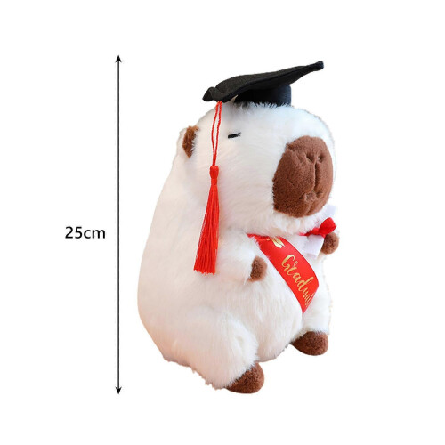 (White) Abschluss-Capybara-Plüschtier, 25 cm, mit Mütze und Urkunde 2