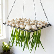 Yohsnor Garlic and Herb Drying Rack - Hanging Mesh Dryer for Garlic, Onion, Herbs, and Plants - Space-Saving Design (145x28 inches) - Perfect for