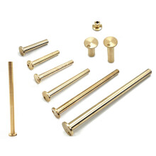 Professionele Golf Messing Tip Plug Gewichten voor-koolstofclub