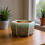 (01) Ceramic Succulent Pot - Drunken Glaze Desk Decor 11