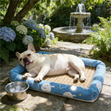 (Blue, L 60*50cm) Lit rafraîchissant pour chien, adapté à une utilisation intérieure/extérieure, tapis rafraîchissant en lin respirant