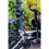 Abus ABUS frame lock insert chain - Adaptor Chain 2.0 6KS - Chain for secondary bike security - 6 mm thick 3